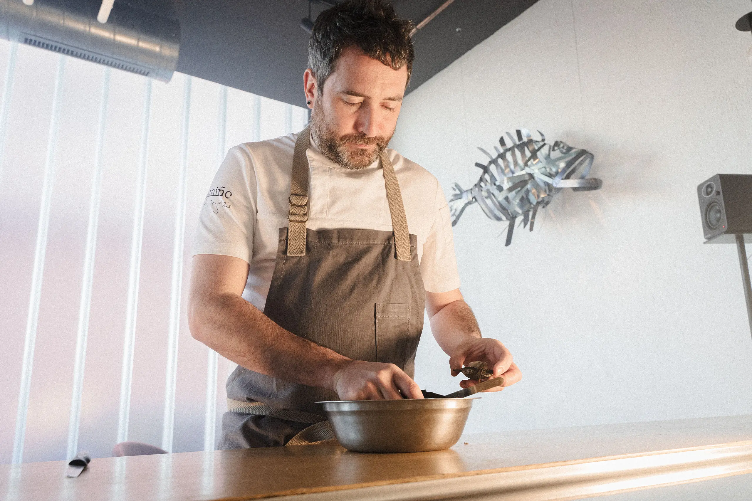 landscape-19 landscape-19