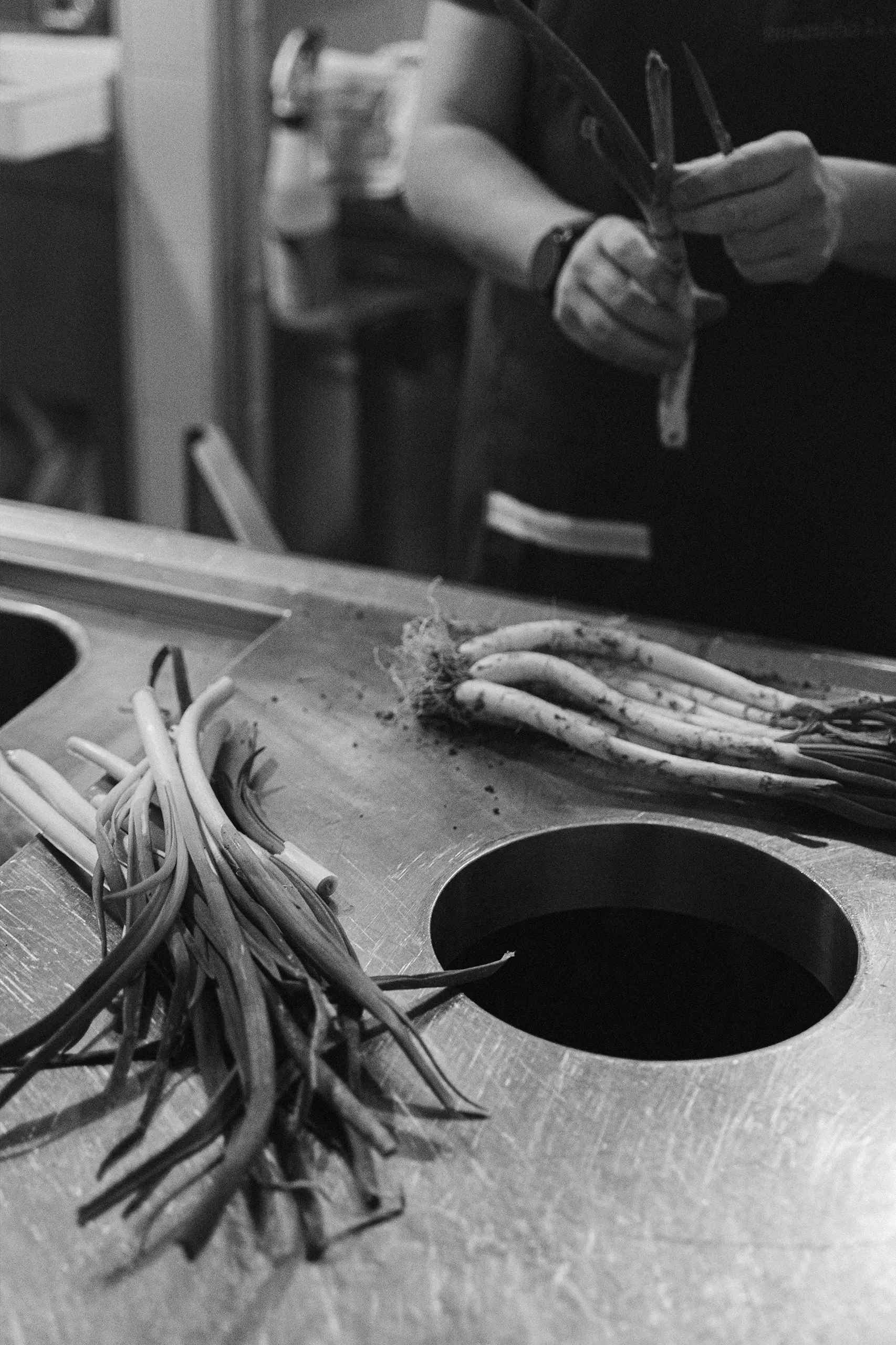 portrait-12 portrait-12