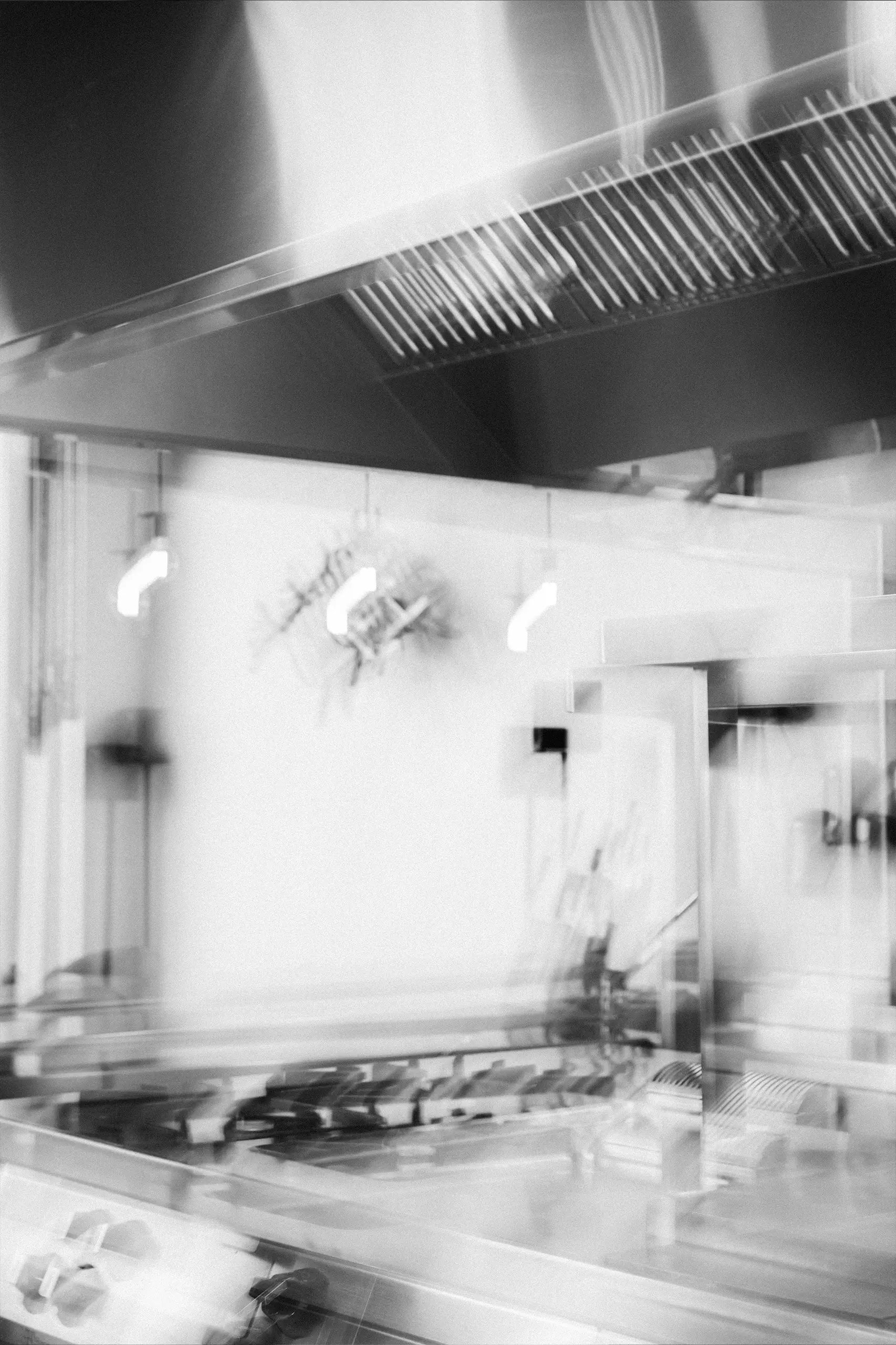 portrait-15 portrait-15