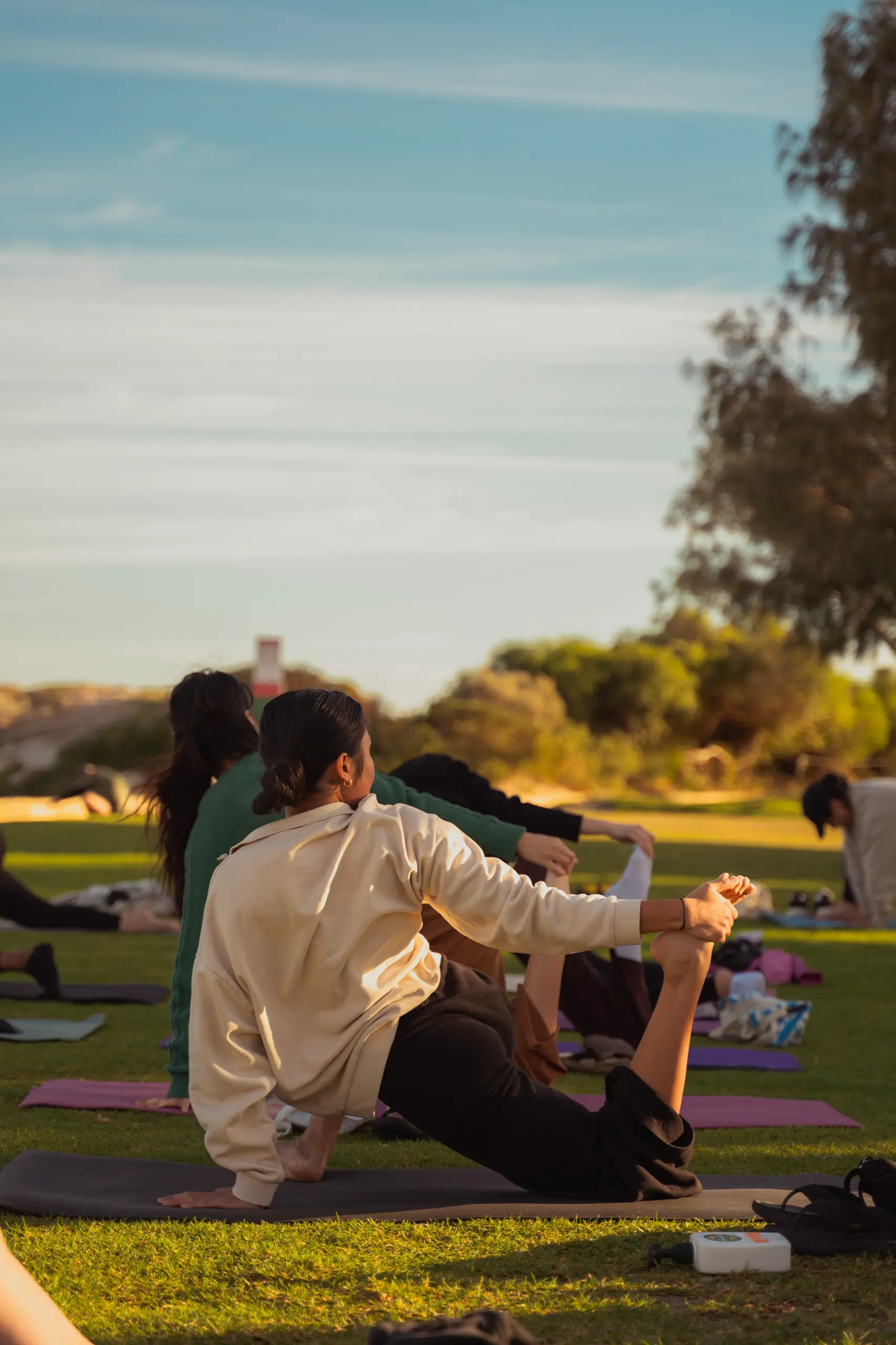 portrait-18 portrait-18